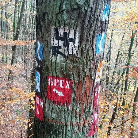 Gastehaus Am Schloss Sayn 벤도르프