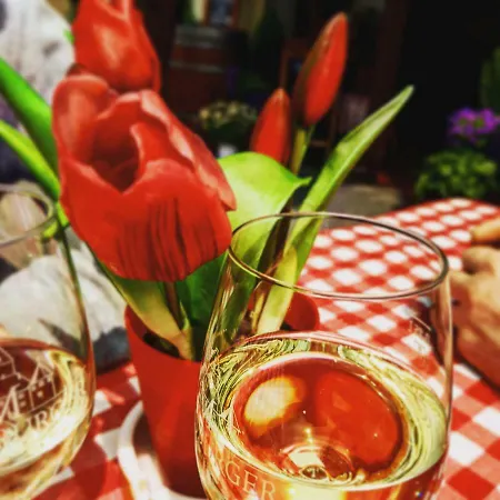 Pensjonat Gastehaus Am Schloss Sayn Bendorf