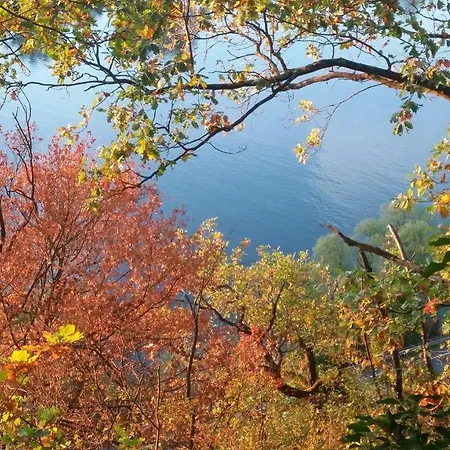 Gastehaus Am Schloss Sayn Gasthuis *