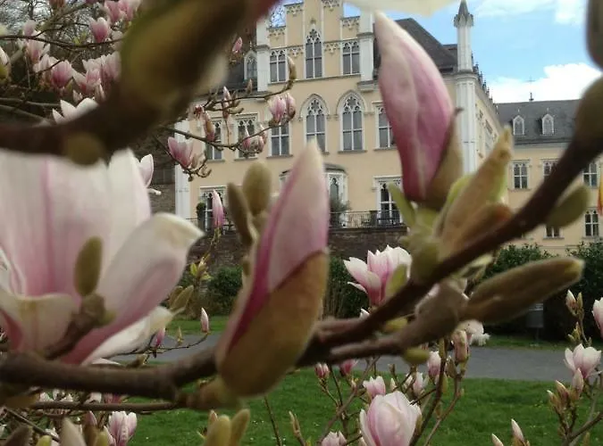 Gastehaus Am Schloss Sayn Guest house Bendorf