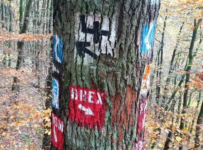 Gastehaus Am Schloss Sayn Bendorf