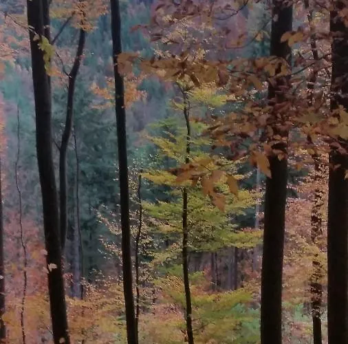 招待所 Gastehaus Am Schloss Sayn